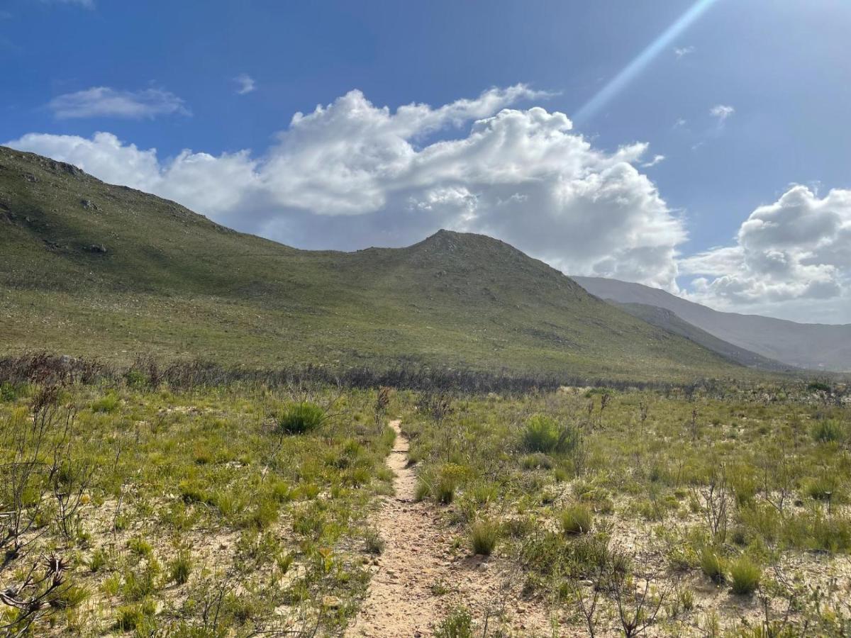 Footprints In Kleinmond 호텔 외부 사진